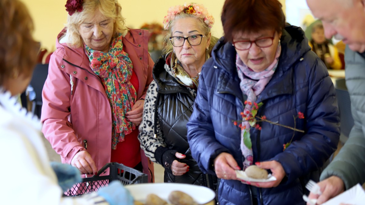 Święto Pieczonego Ziemniaka w Trzbeieży