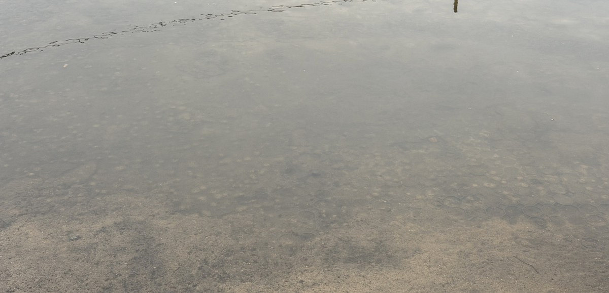 Podtopienia w gminach Dobra i Kołbaskowo po opadach deszczu i roztopach