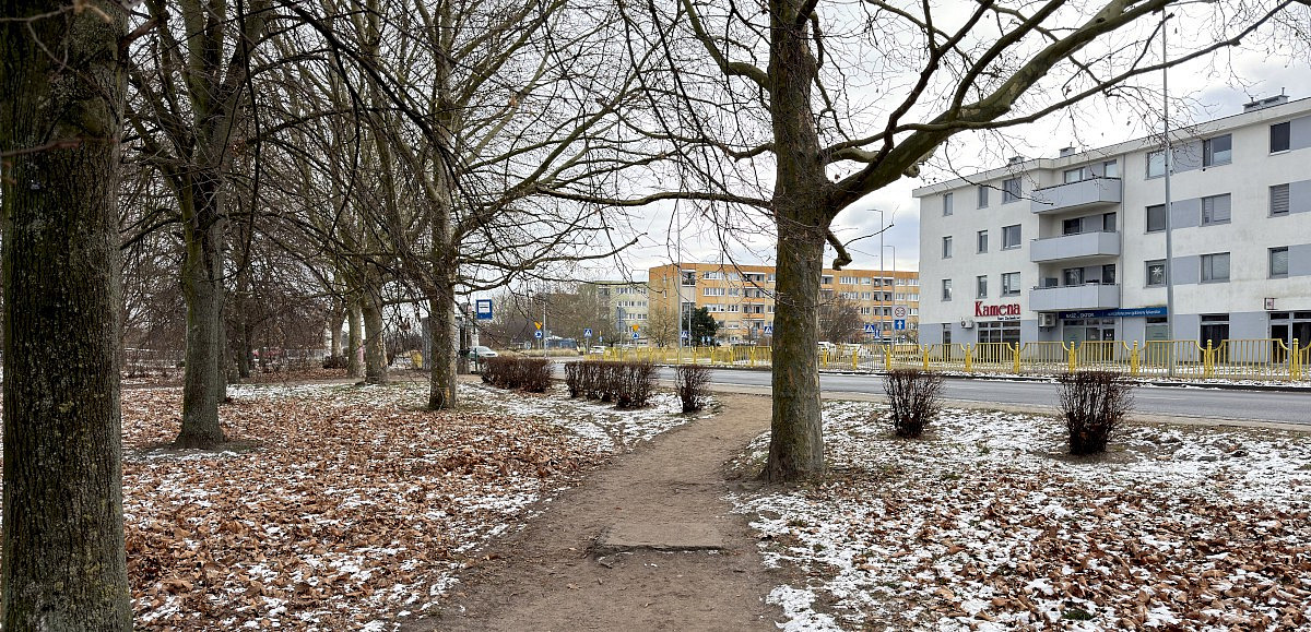 Gmina Police przejmie utrzymanie zieleni przy drogach powiatowych