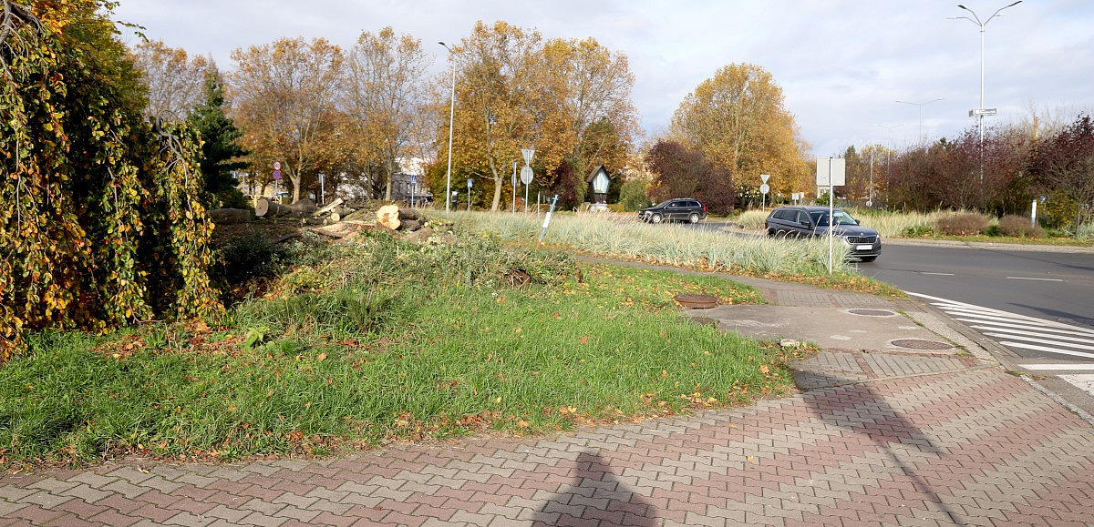 Skwer na rogu ulic Piłsudskiego i Grzybowej w Policach
