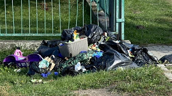 Ktoś zrobił wysypisko za SP 8. Sterta śmieci wylądowała na polanie w Policach