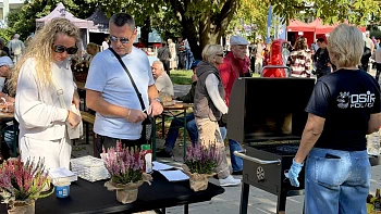 Piknik Organizacji Pozarządowych "Społeczna Siła"