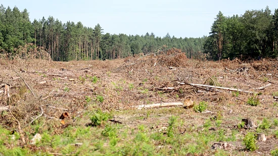 Trwają przygotowania do budowy Zachodniej Obwodnicy Szczecina