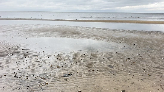 Nisko poziom wody widoczny z perspektywy plaży w Trzebieży