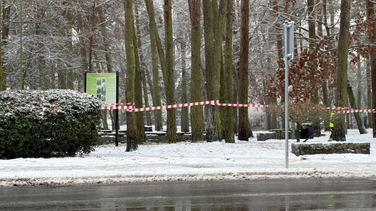 Park Solidarności w Policach został wyłączony z użytkowania