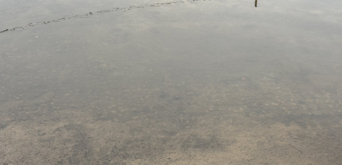 Podtopienia w gminach Dobra i Kołbaskowo po opadach deszczu i roztopach