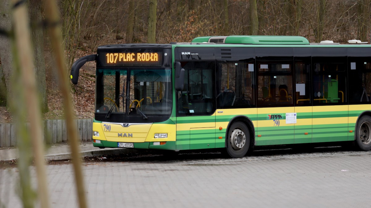 Rewolucja na trasach autobusowych do Polic
