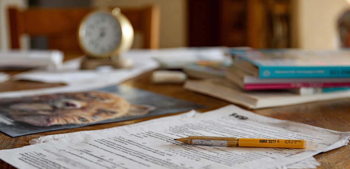 Jak ćwiczyć z arkuszami przed egzaminem ósmoklasisty